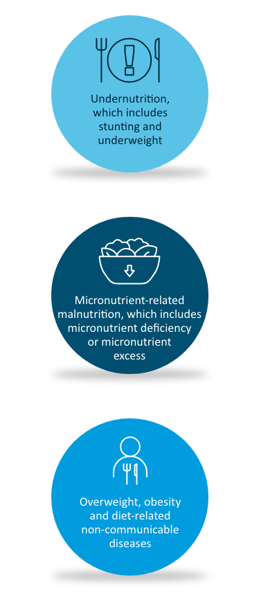 Definition of Malnutrition