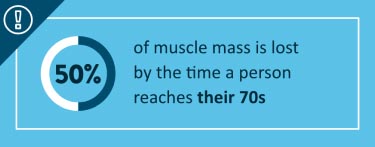 Muscle mass