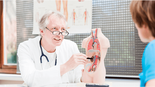 Doctor in an office showing a boy a human torso model image