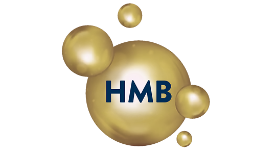 HMB molecules gold icon