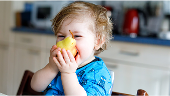 Infant in a high chair eating a pear image