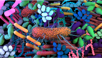 Bacteria cells amongst other cells image