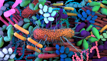 Bacteria cells amongst other cells image