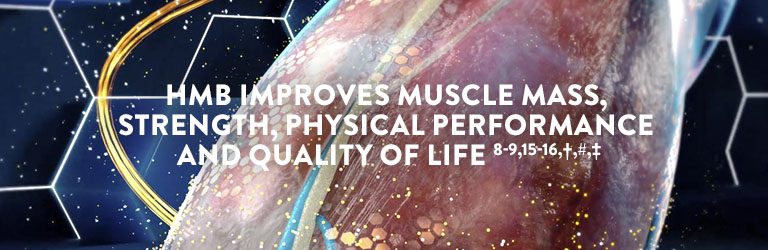 hmb-article banner 1