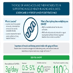 Infographic the role of leucine
