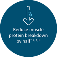 Reduce protein breakdown