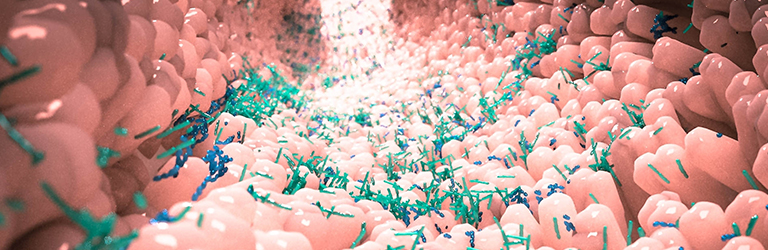 2’FL Human Milk Oligosaccharides