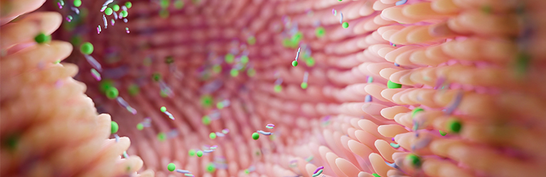 A Gut (Brain) Feeling about HMOs