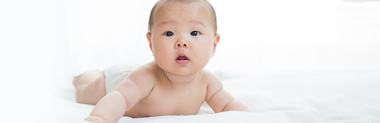 HMO and the Gut Microbiome