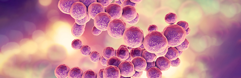 Human milk and HMOs in nutrition, neonatal development and immunity