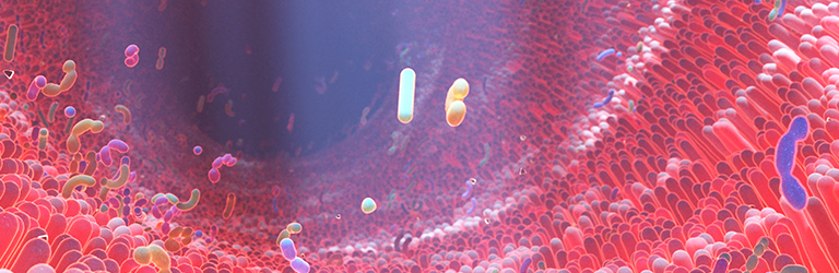What is All the Fuss About the Gut Microbiome and 2'-FL